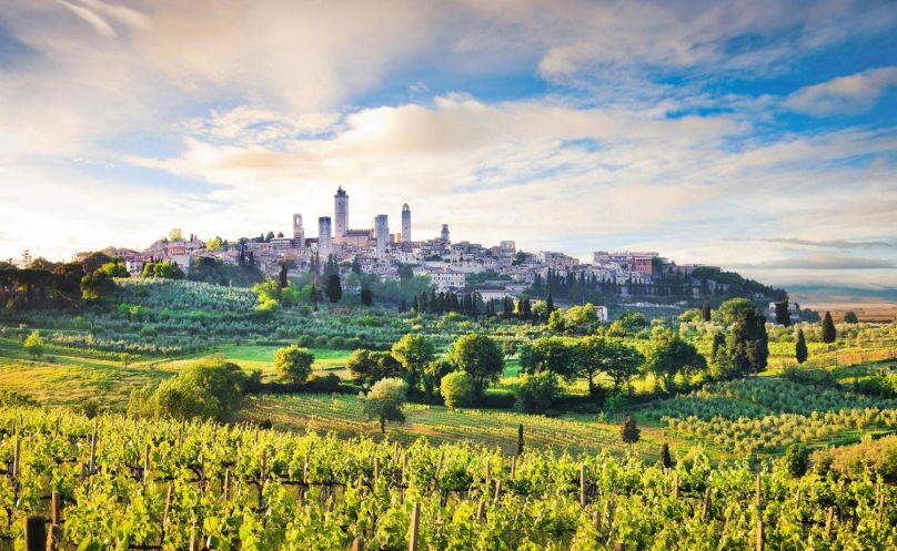 Private Tuscany San Gimignano & Siena Tours