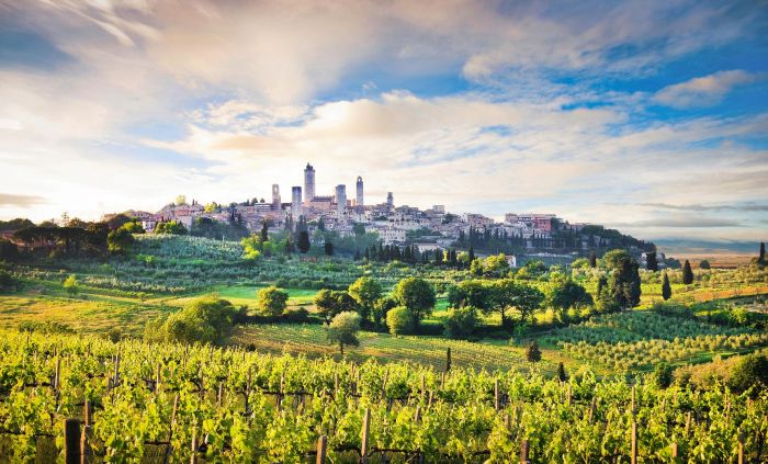 Beyond the Beaten Path: Discover the Riches of Italy with Private Transfer Tours