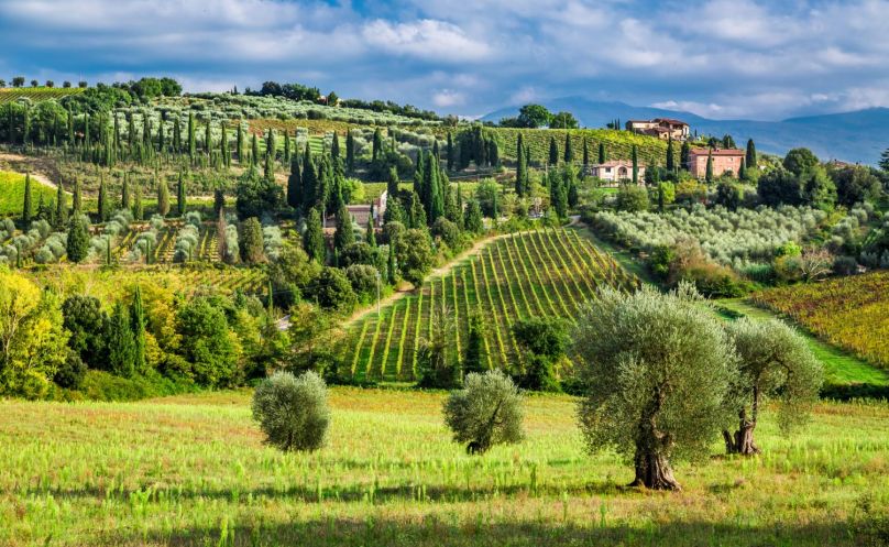 Enjoy frequent photo-stops to capture the beauty of the Tuscan landscape