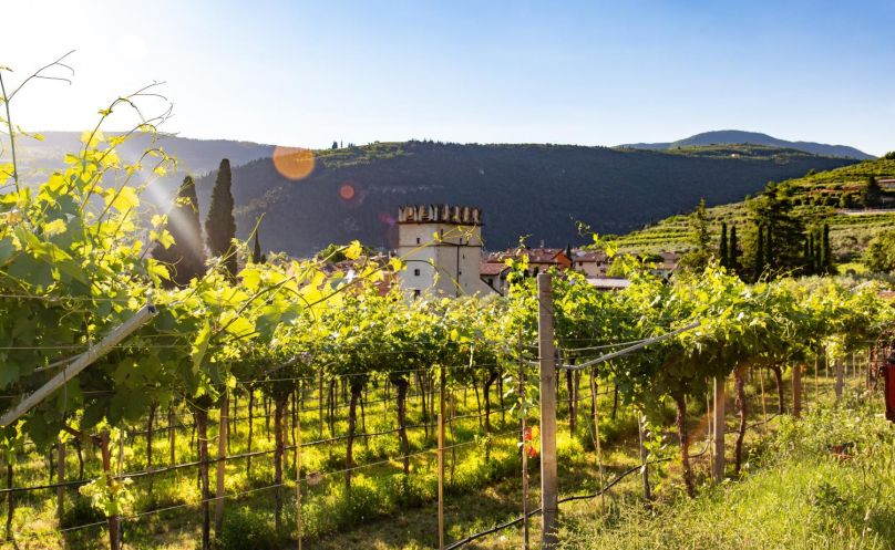 Private Venice Valpolicella Wine Day Tours